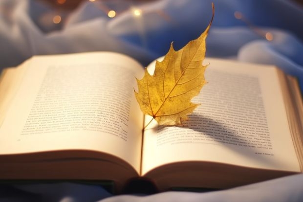 福建2025高考天津中德应用技术大学招生计划如何(2026参考)