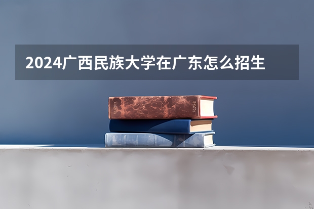 2024广西民族大学在广东怎么招生的