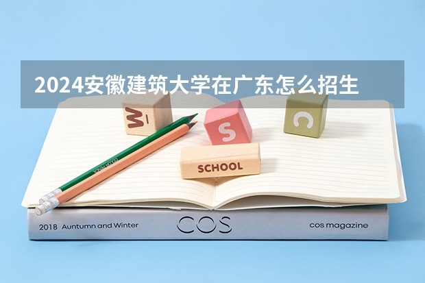 2024安徽建筑大学在广东怎么招生的