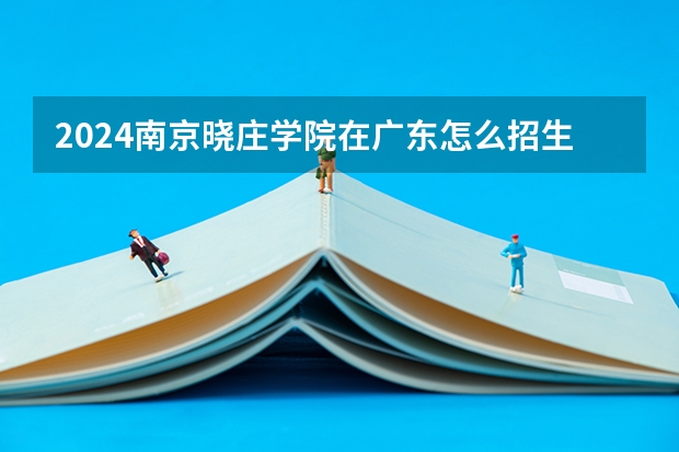 2024南京晓庄学院在广东怎么招生的