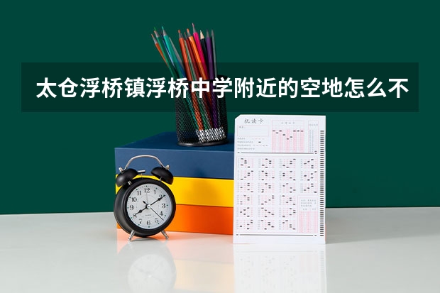 太仓浮桥镇浮桥中学附近的空地怎么不建设