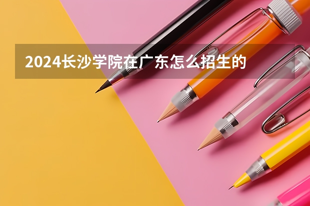 2024长沙学院在广东怎么招生的