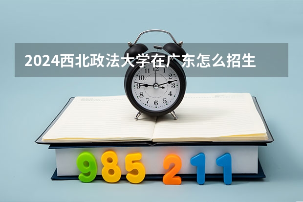2024西北政法大学在广东怎么招生的