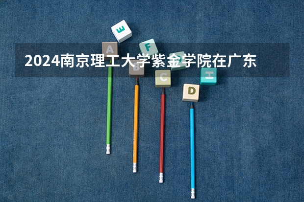2024南京理工大学紫金学院在广东怎么招生的