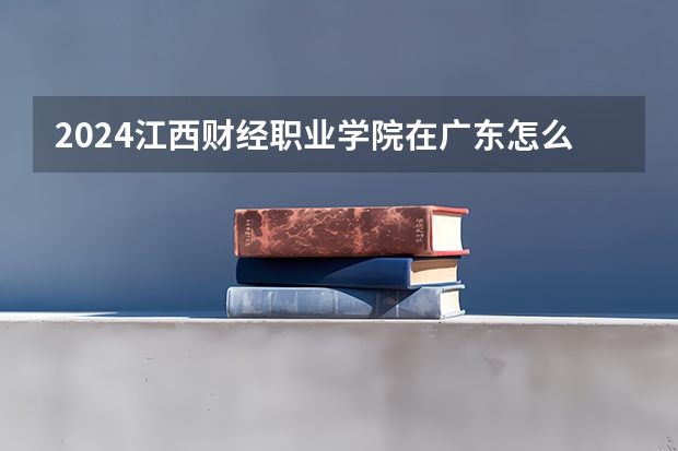 2024江西财经职业学院在广东怎么招生的