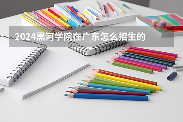 2024黑河学院在广东怎么招生的