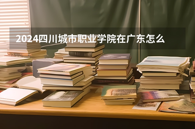 2024四川城市职业学院在广东怎么招生的