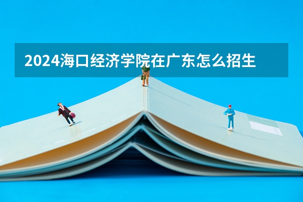 2024海口经济学院在广东怎么招生的