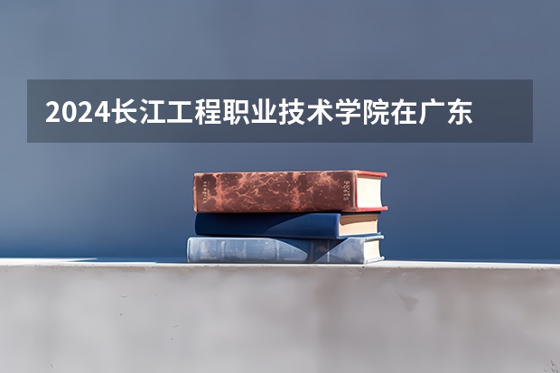 2024长江工程职业技术学院在广东怎么招生的