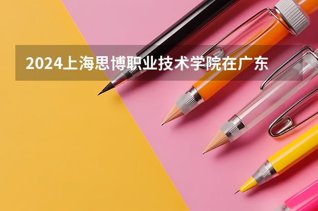 2024上海思博职业技术学院在广东怎么招生的
