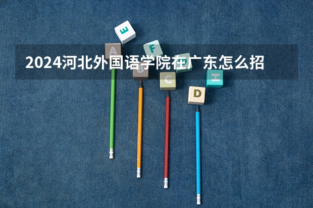 2024河北外国语学院在广东怎么招生的