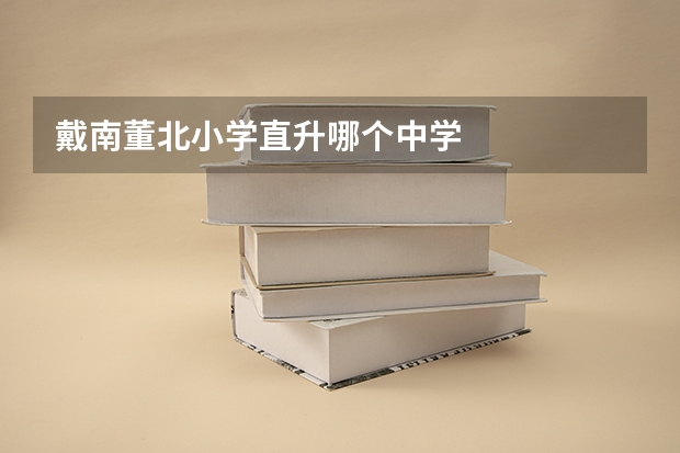 戴南董北小学直升哪个中学