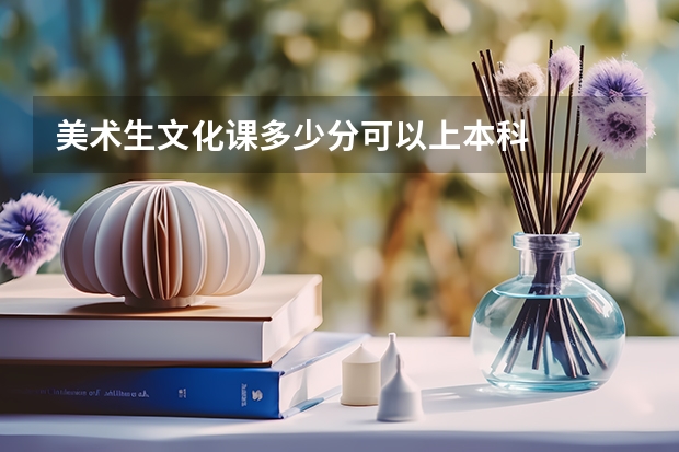 美术生文化课多少分可以上本科