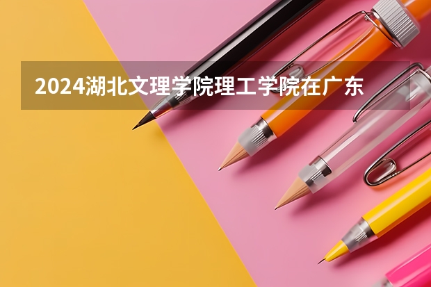 2024湖北文理学院理工学院在广东怎么招生的