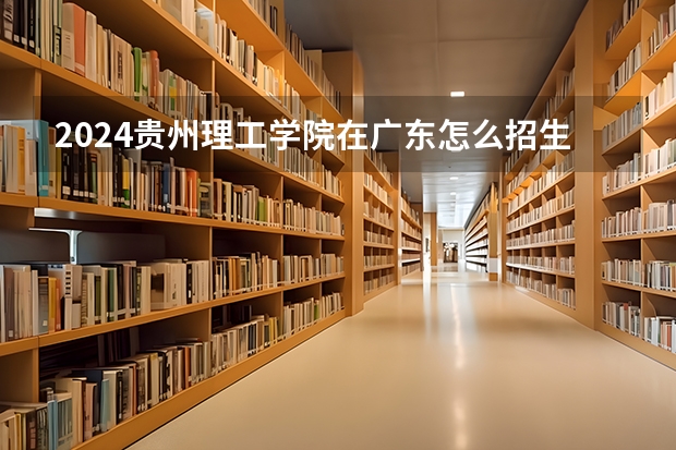 2024贵州理工学院在广东怎么招生的