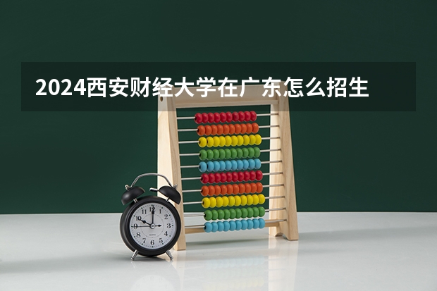 2024西安财经大学在广东怎么招生的