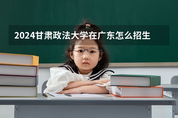 2024甘肃政法大学在广东怎么招生的