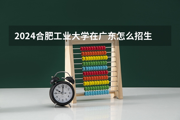 2024合肥工业大学在广东怎么招生的