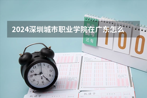 2024深圳城市职业学院在广东怎么招生的