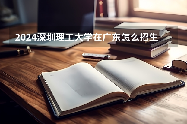 2024深圳理工大学在广东怎么招生的