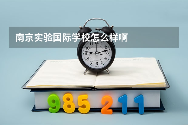 南京实验国际学校怎么样啊