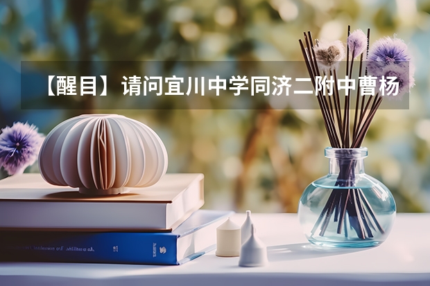 【醒目】请问...宜川中学..同济二附中..曹杨中学..这三个学校比较起来哪个比较好?哪个比较差?