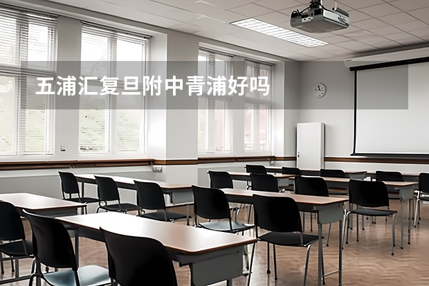 五浦汇复旦附中青浦好吗