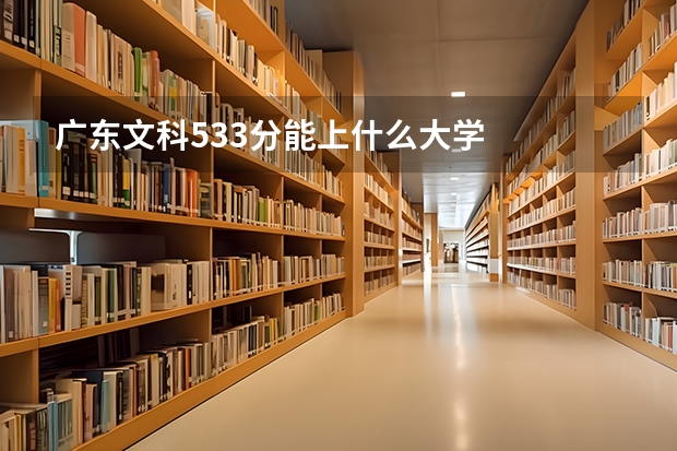 广东文科533分能上什么大学