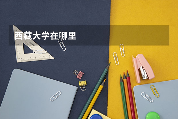 西藏大学在哪里