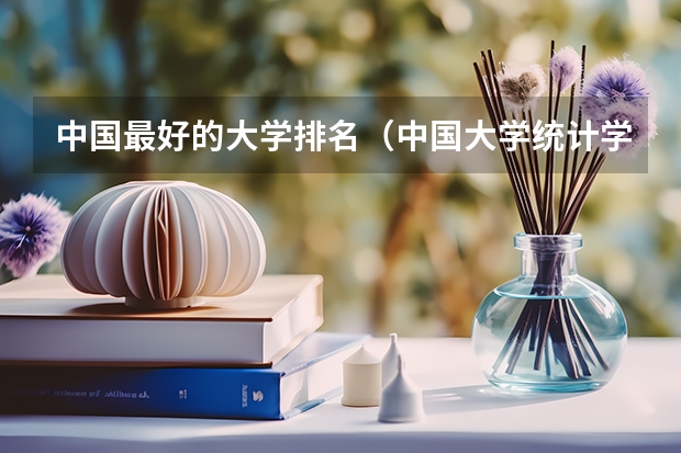 中国最好的大学排名（中国大学统计学排名）