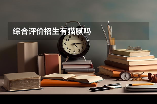 综合评价招生有猫腻吗