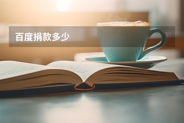 百度捐款多少