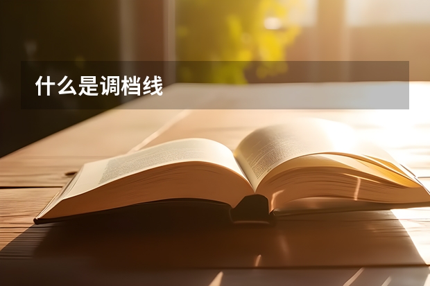 什么是调档线