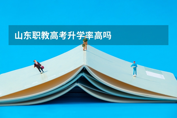 山东职教高考升学率高吗