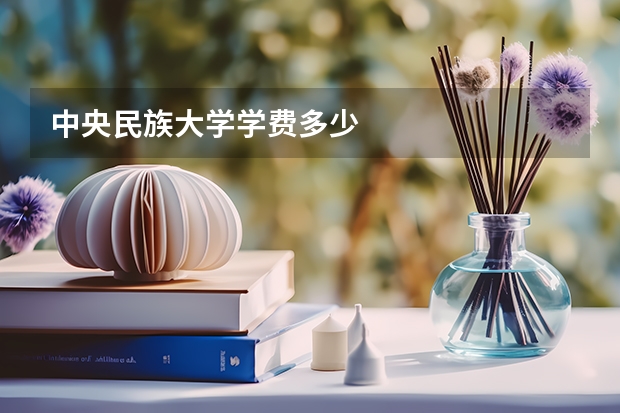 中央民族大学学费多少