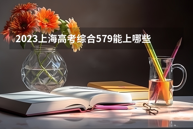2023上海高考综合579能上哪些大学