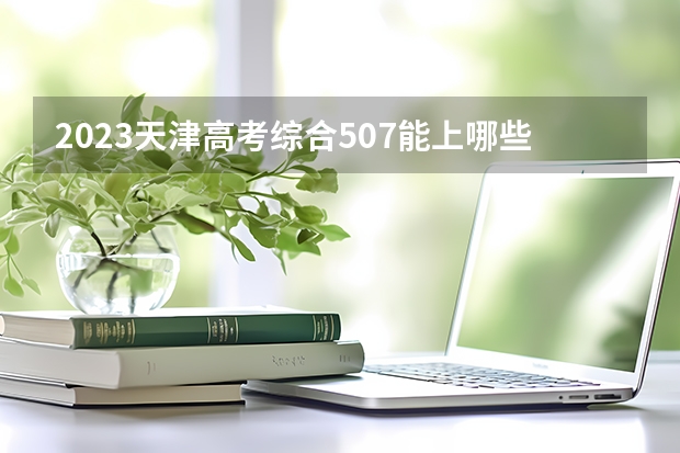 2023天津高考综合507能上哪些大学