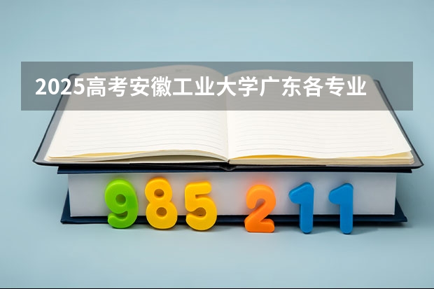 2025高考安徽工业大学广东各专业招生人数多少（2026参考）