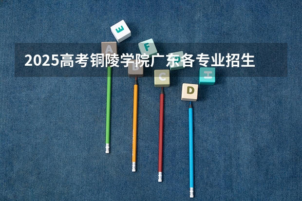 2025高考铜陵学院广东各专业招生人数多少（2026参考）