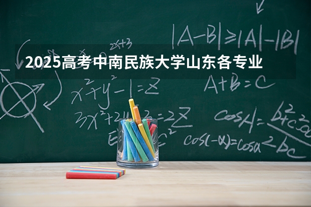 2025高考中南民族大学山东各专业招生人数多少（2026参考）
