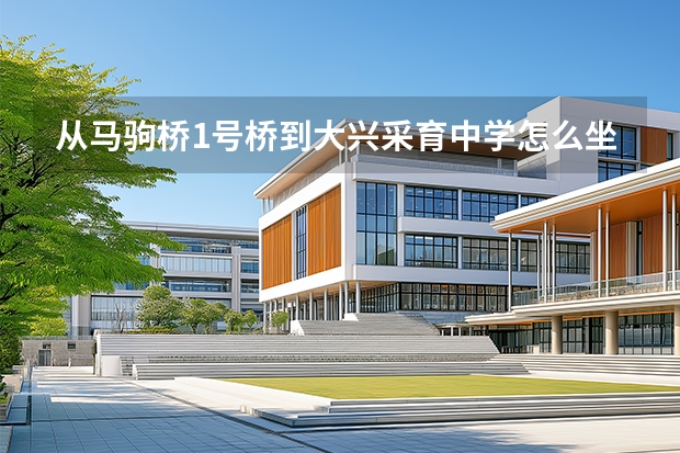 从马驹桥1号桥到大兴采育中学怎么坐车