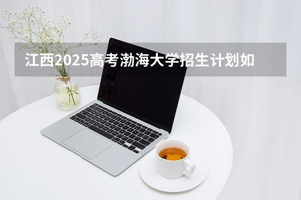 江西2025高考渤海大学招生计划如何（2026参考）