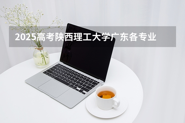 2025高考陕西理工大学广东各专业招生人数多少（2026参考）