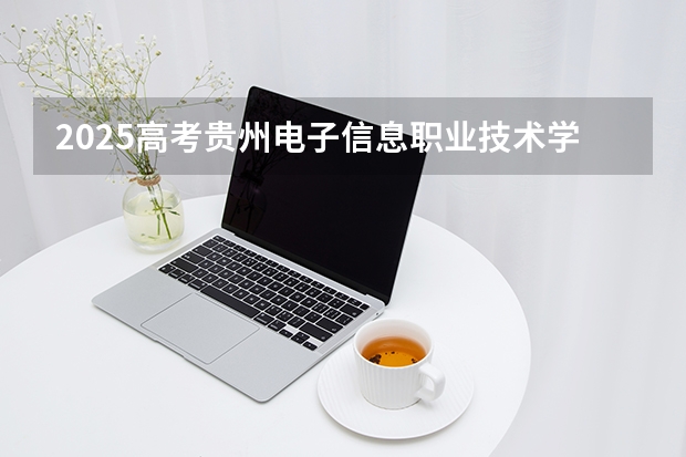 2025高考贵州电子信息职业技术学院河南各专业招生人数多少（2026参考）