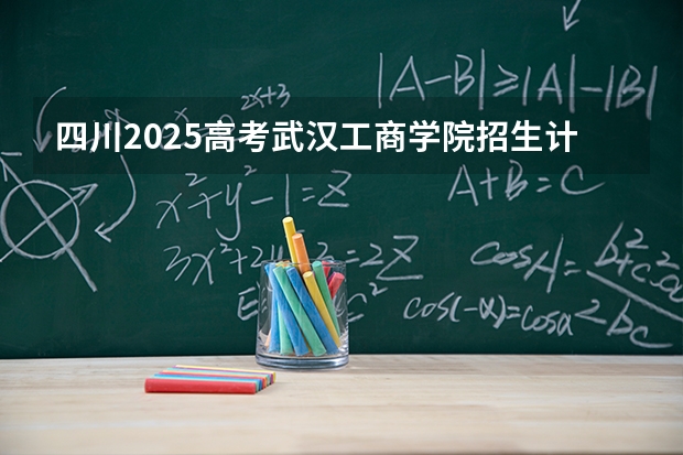 四川2025高考武汉工商学院招生计划如何（2026参考）