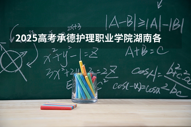 2025高考承德护理职业学院湖南各专业招生人数多少（2026参考）