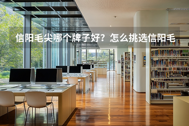 信阳毛尖哪个牌子好？怎么挑选信阳毛尖？