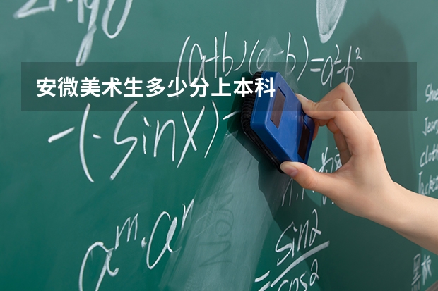 安微美术生多少分上本科