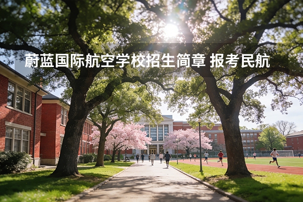 蔚蓝国际航空学校招生简章 报考民航招飞需要的条件