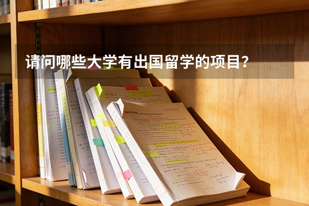 请问哪些大学有出国留学的项目？